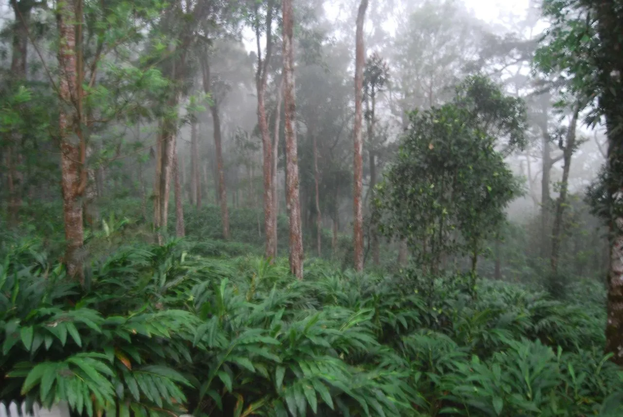 **** Resort T Cherry Villa Munnar India