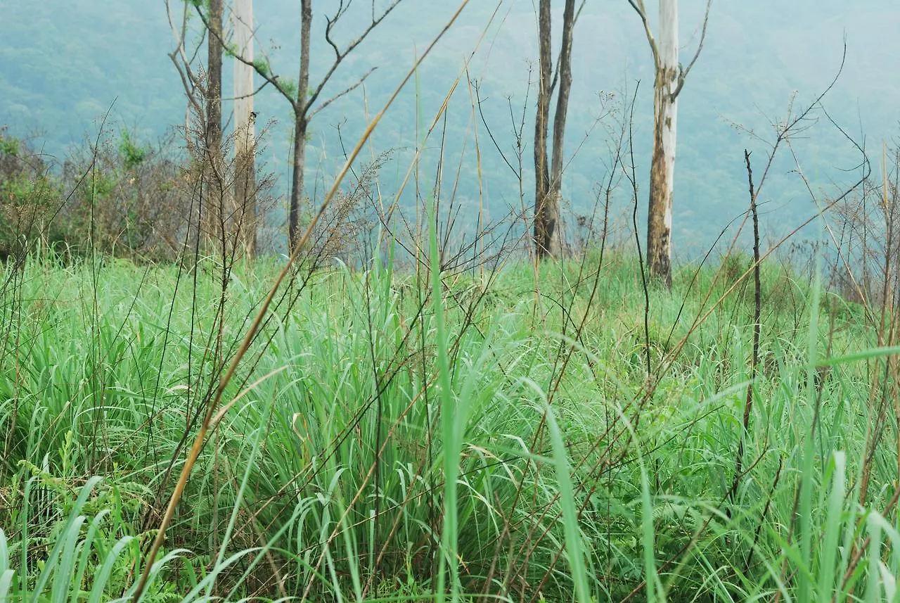 T Cherry Villa Munnar Resort