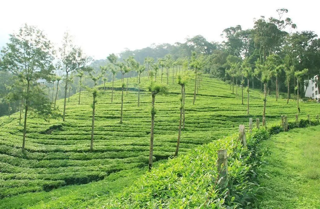 Resort T Cherry Villa Munnar